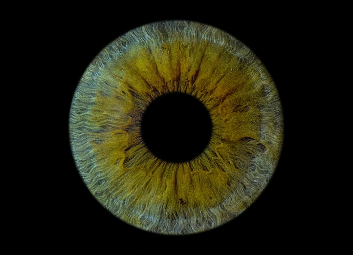 A close up of a yellow eyeball in the dark